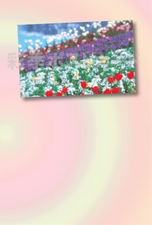 A-004