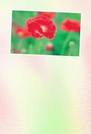 B-003
