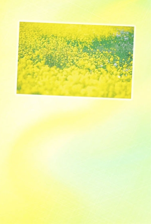 B-051